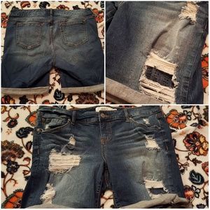 Torrid Shorts